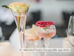 bild1
