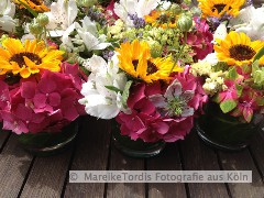 bild4