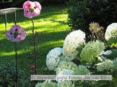 bild16