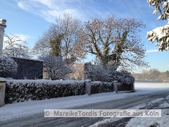 bild19