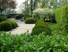bild1